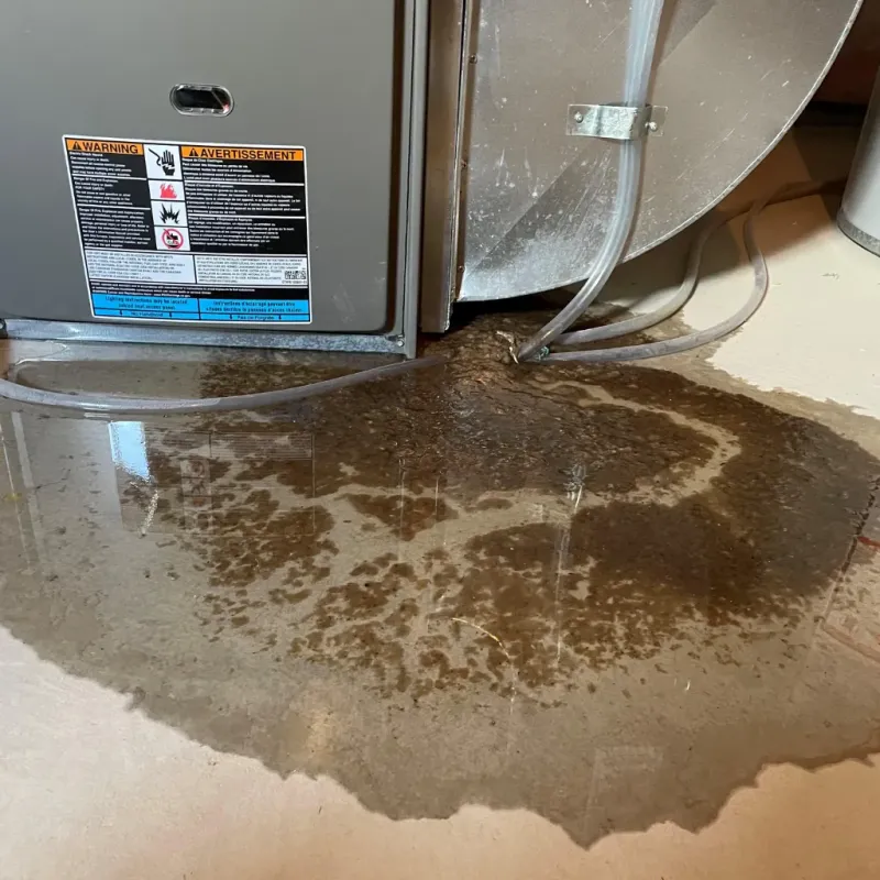 Appliance Leak Cleanup in Christiana, TN