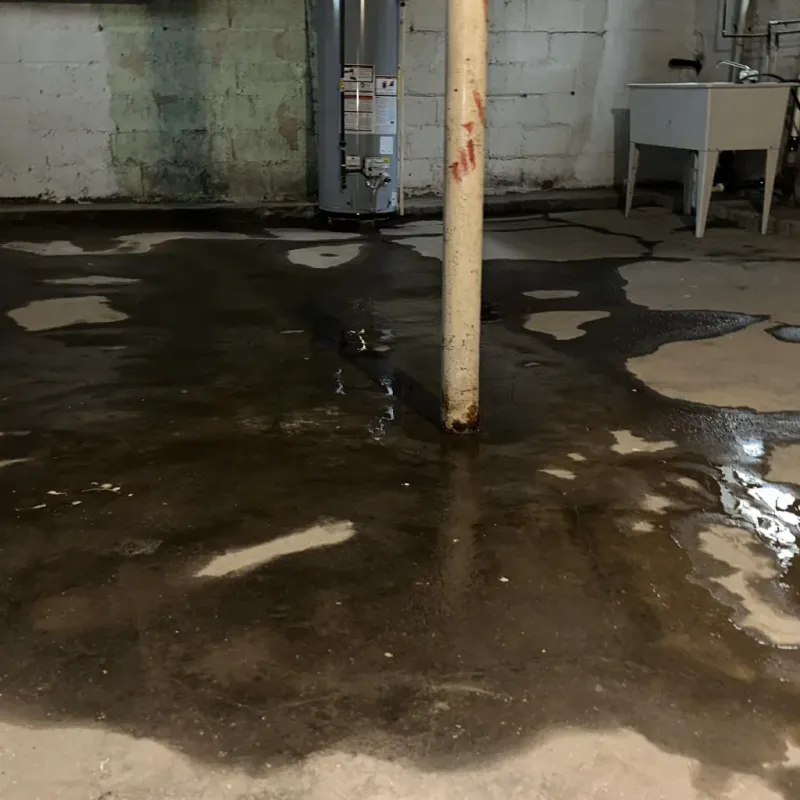 Emergency Water Extraction And Removal in Christiana, TN